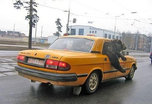 MeanwhileInRussia.jpg