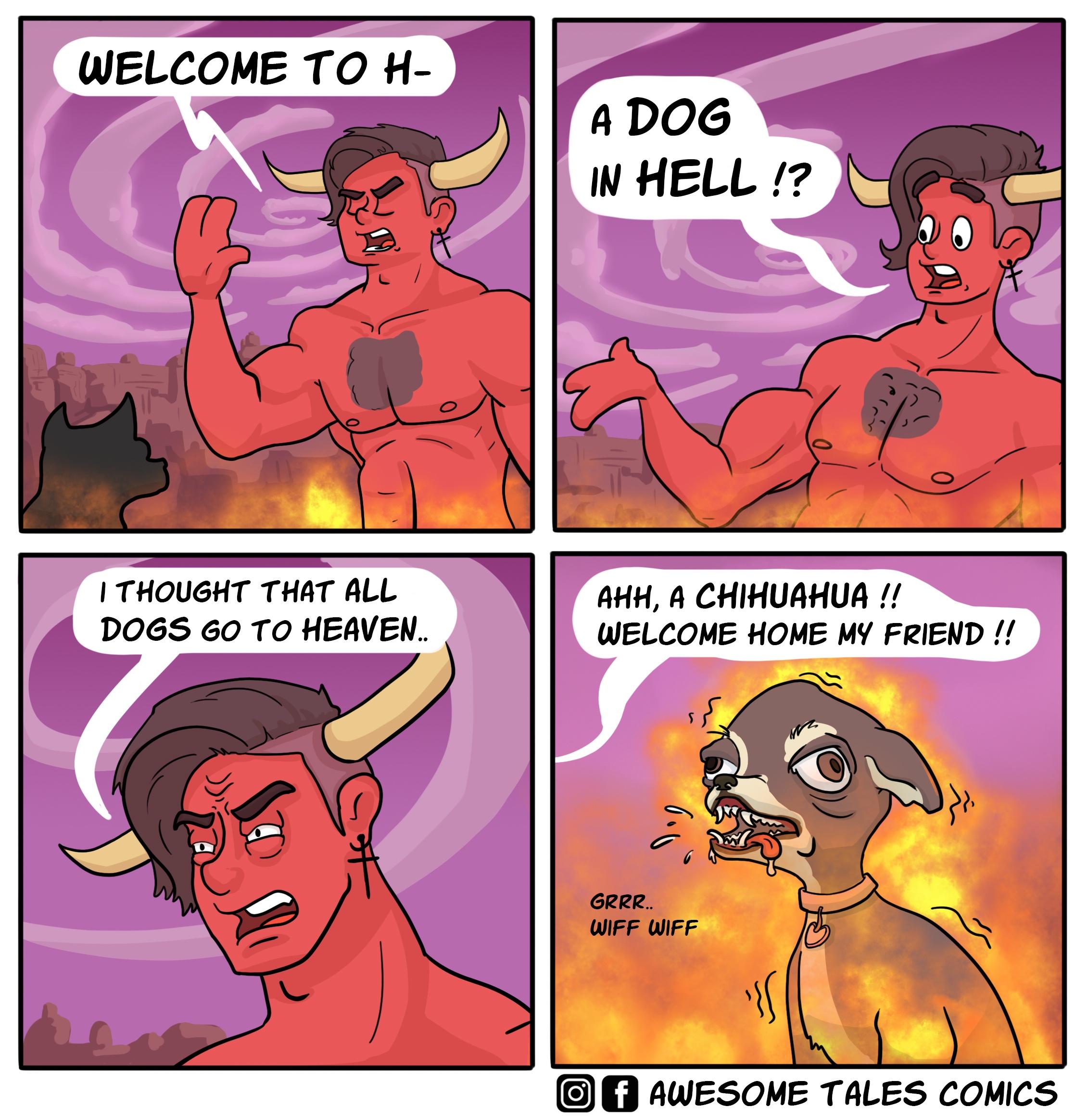 v9JhFvw.jpeg