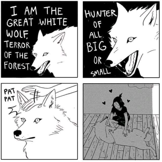 nW0hheS.jpeg