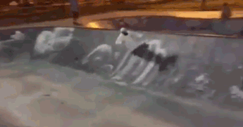 tumblr_nxwfph577b1tjhg19o1_400.gif