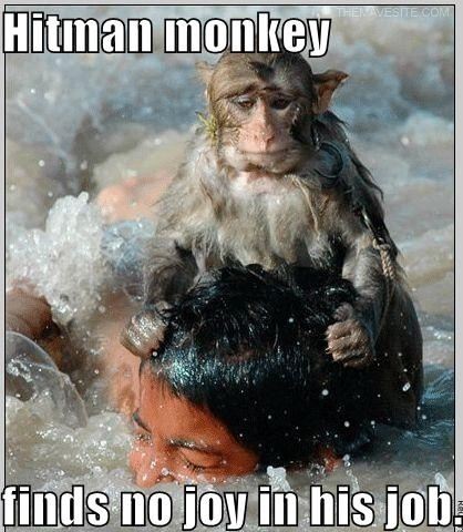 HitmanMonkey.jpg