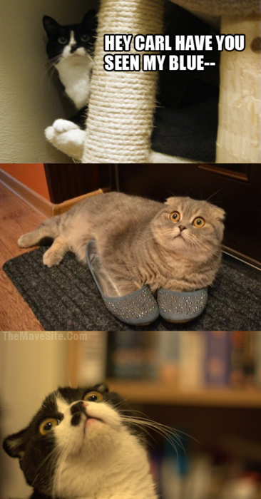 HeyCarl.png