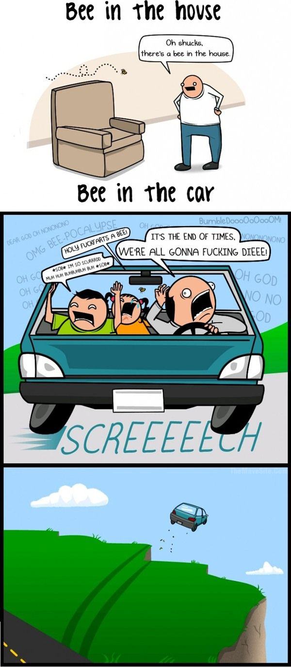 BeeInTheHouseVSBeeInTheCar.jpg