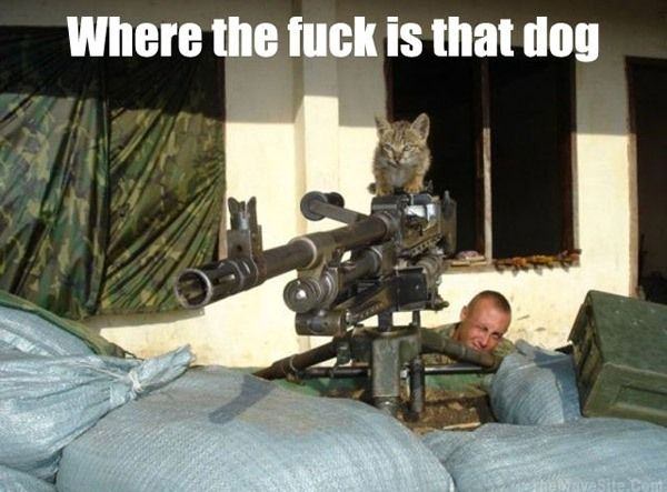 WhereTheFuckIsThatDog.jpg