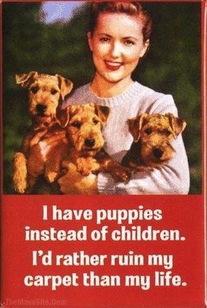 IHavePuppiesInsteadOfChildren.jpg