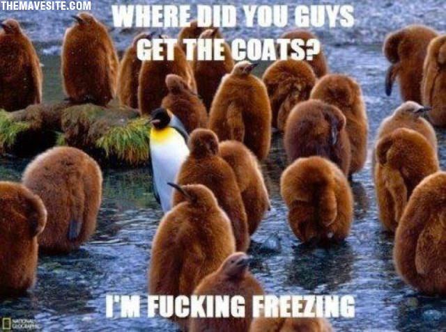 WhereDidYouGuys.jpg