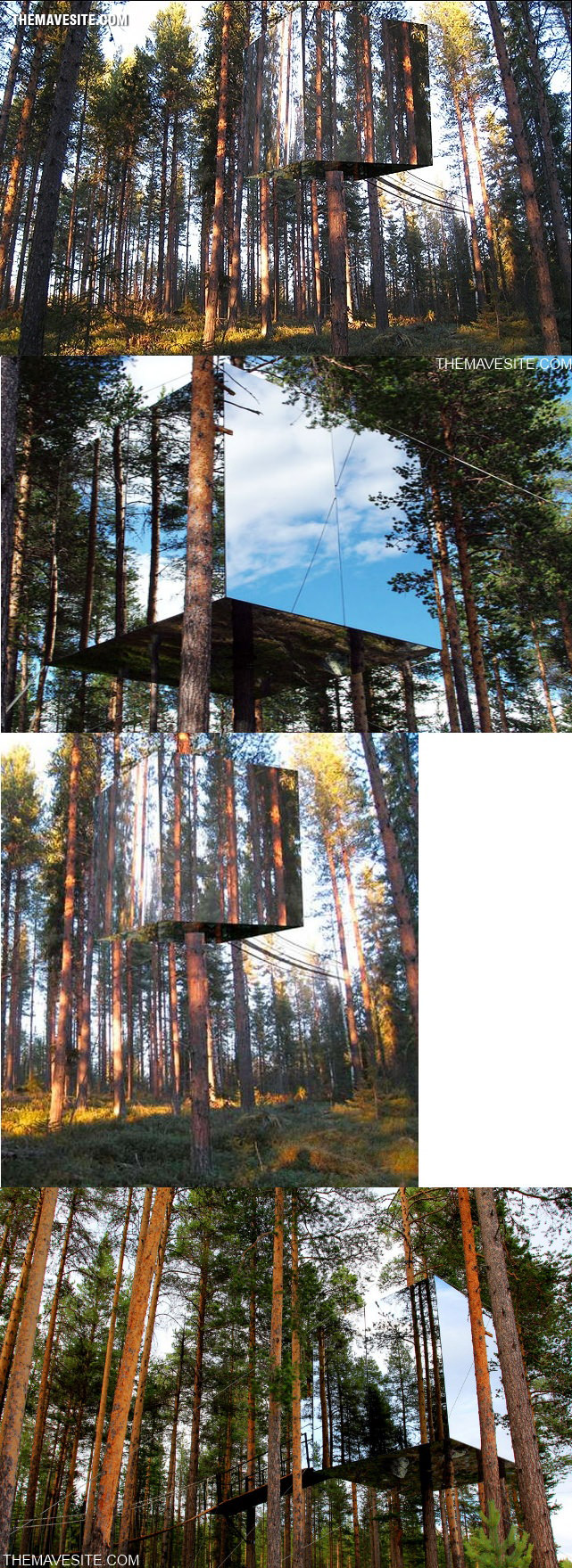 MirrorTreehouse.jpg