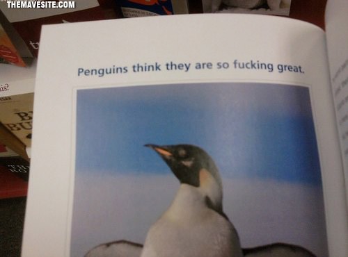 ThoseDamnPenguins.jpg