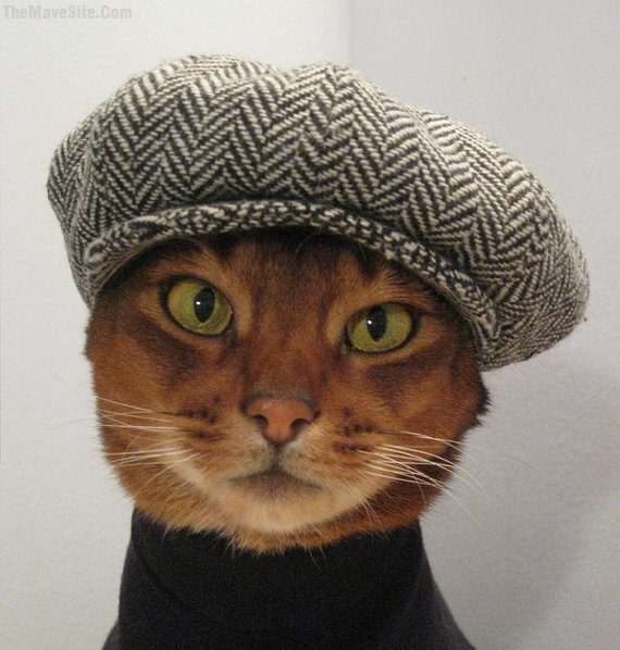 JazzCat.jpg