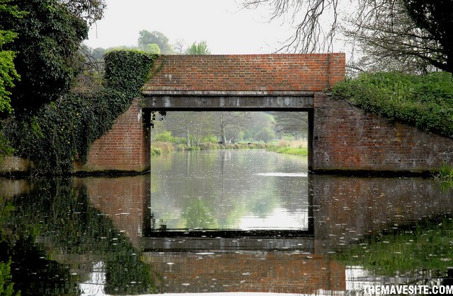 PerfectlyFramed.jpg