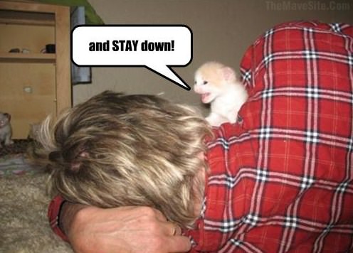 AndStayDown.jpg