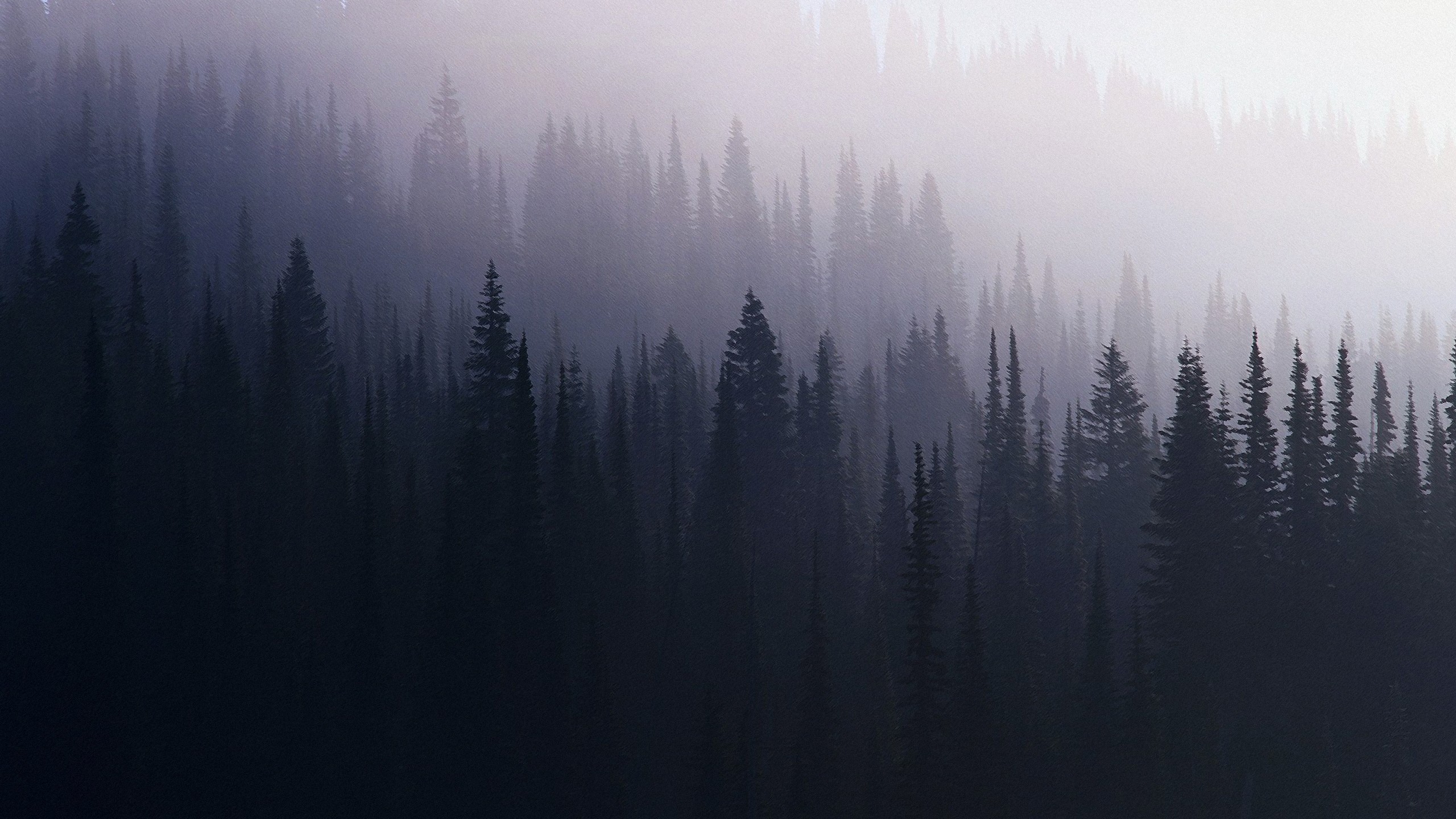W6PH79C.jpg