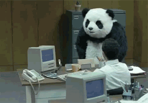 PandaMadness.gif