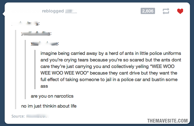 AreYouOnNarcotics.png