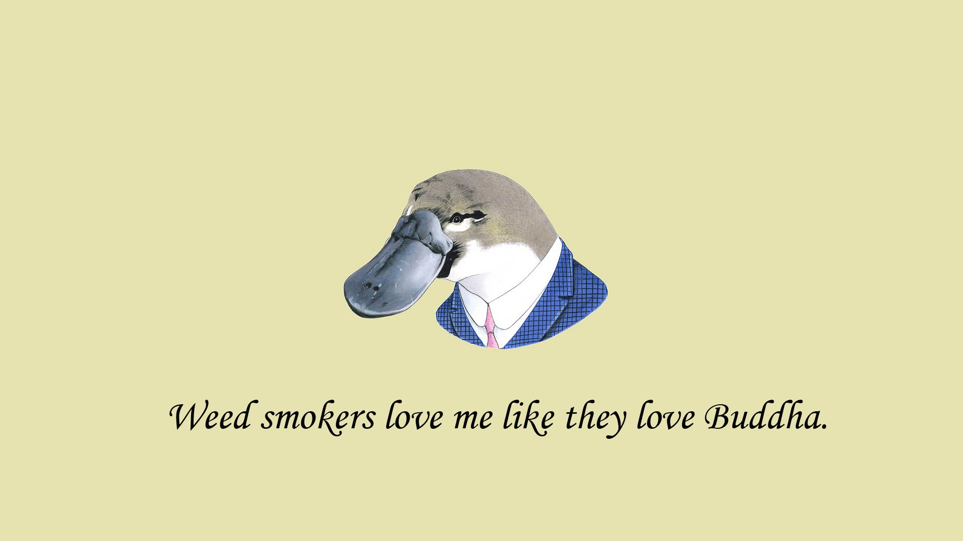 1iBK2rU.jpg