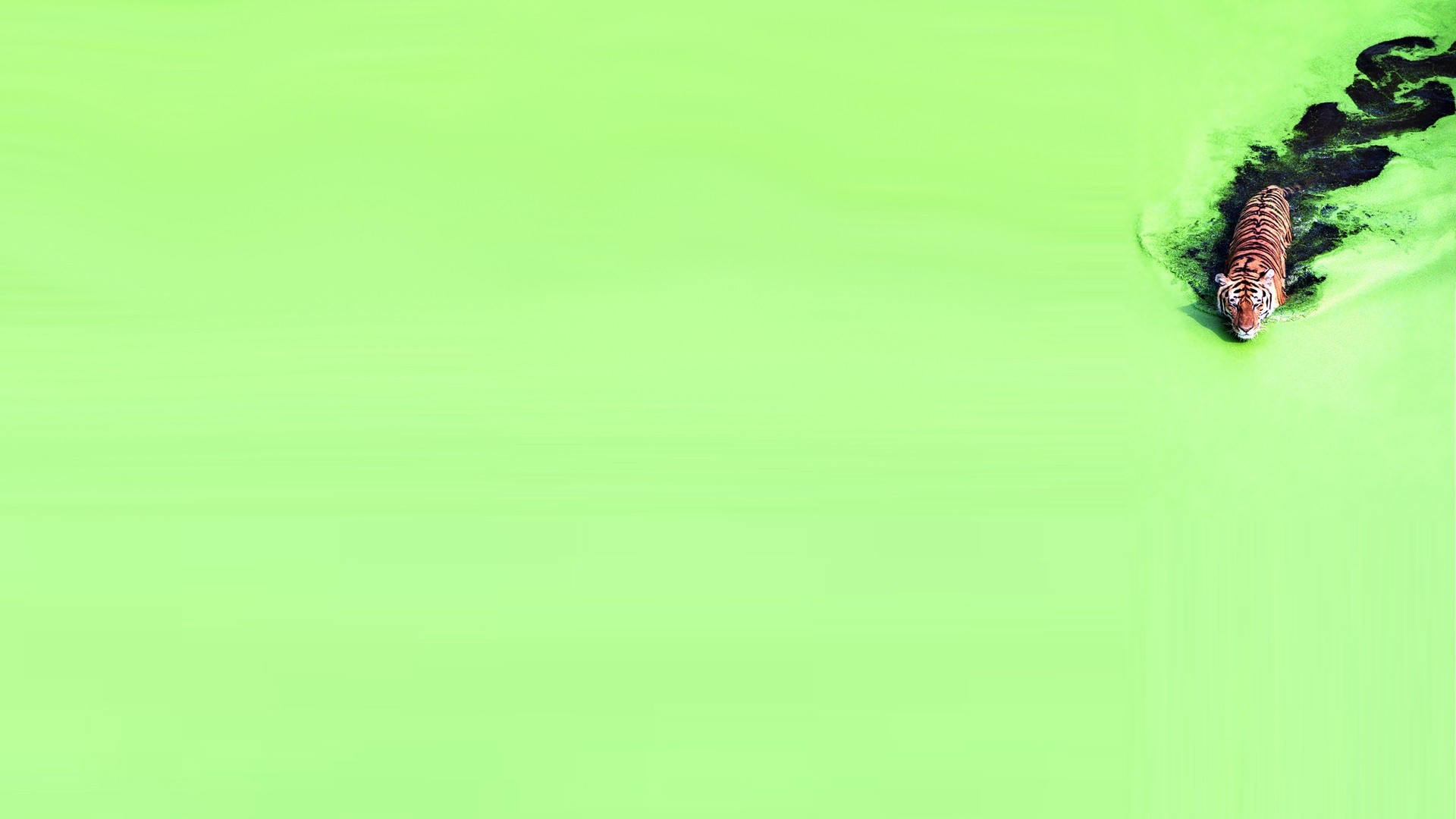 8U8NorH.jpg
