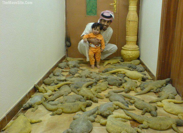 Pets.jpg