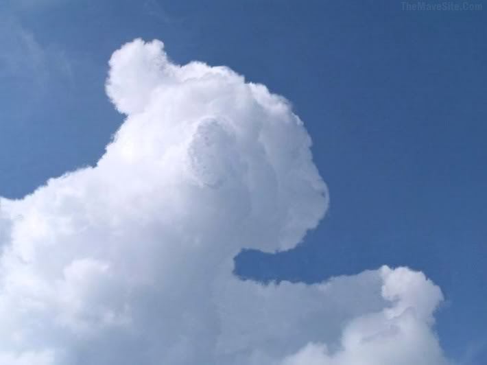 CloudSimba.jpg