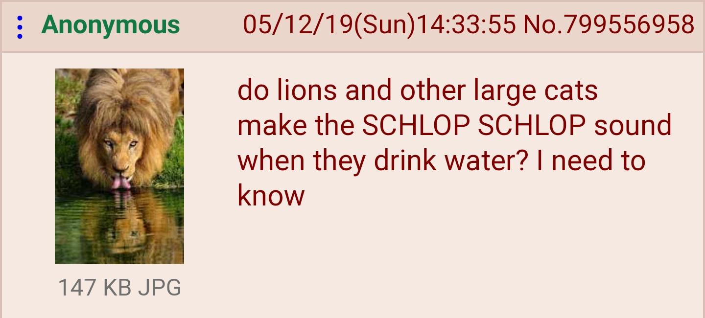 NSbzh9F.jpg