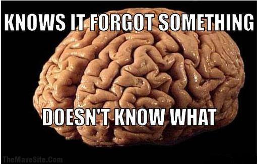 ScumbagBrain.jpg