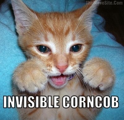 InvisibleCornrob.jpg