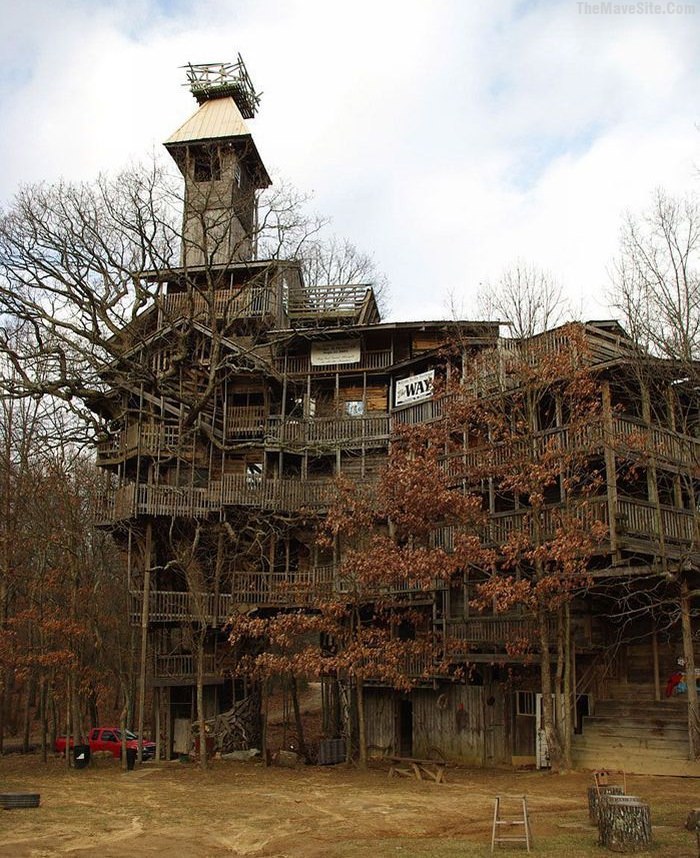 Treehouse.jpg