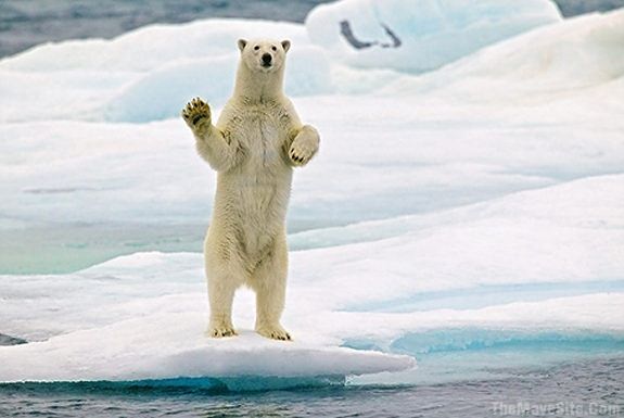 GoodDayToYouToo,Mr.PolarBear.jpg