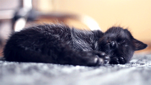 A5udbtt.gif