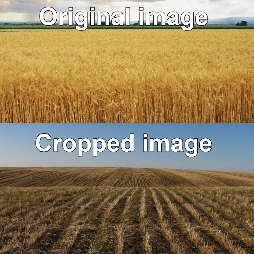 DfENRMf.jpeg