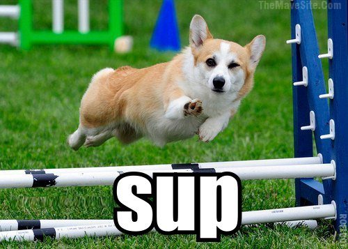 Sup.jpg