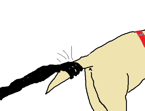 fsoYc13.png