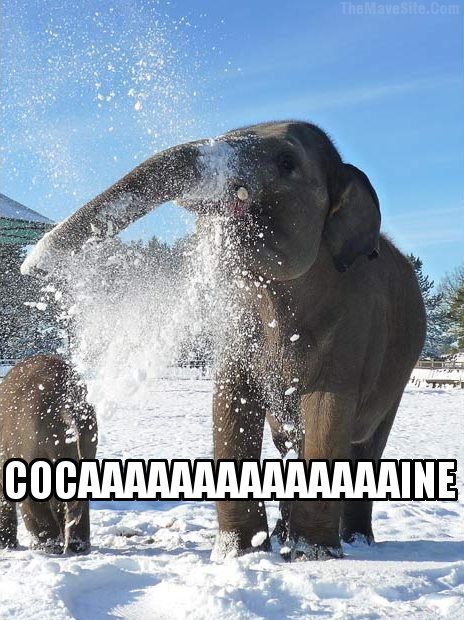 Cocaaaaaaaaaaaaaine.jpg