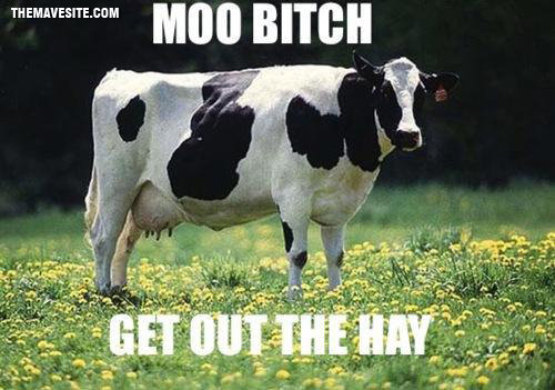 Moodacris.jpg