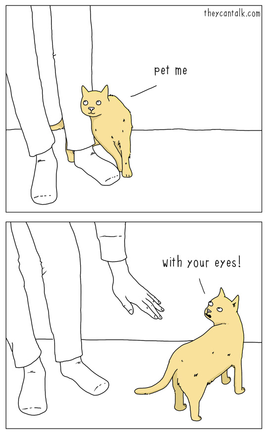 dHPmhiv.png