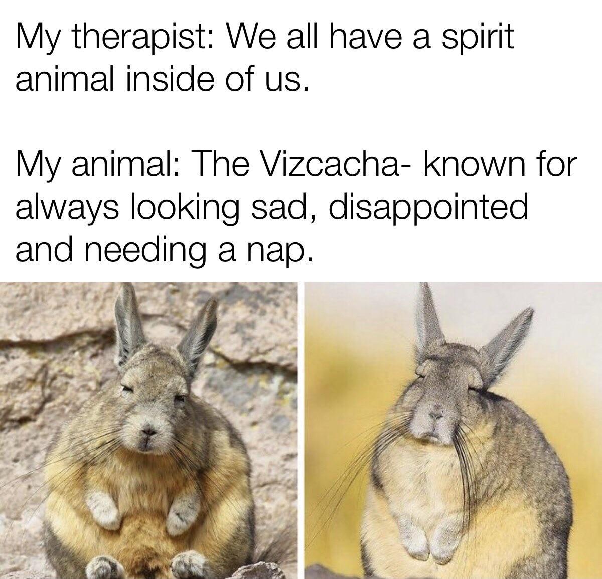 VxFSVTd.jpeg