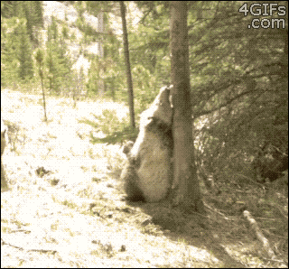 Y6eyoDp.gif
