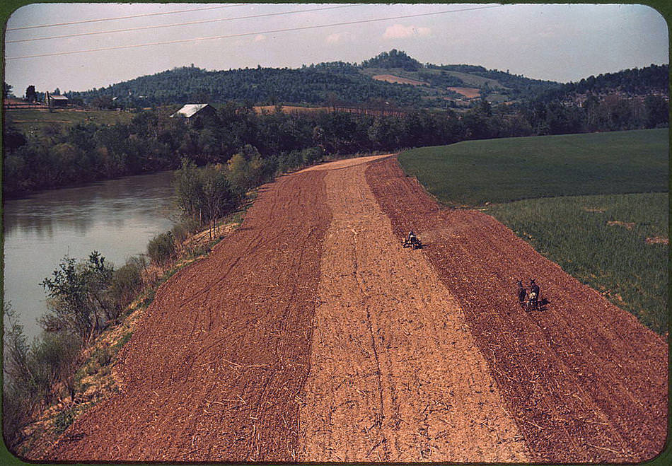 color034.jpg