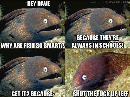 HeyDave.jpg