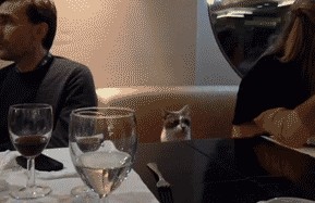 wqswNv4.gif