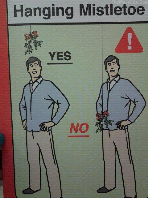 HangingMistletoe.jpg
