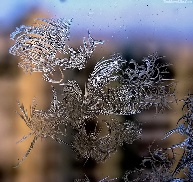 NaturesArt-FrostBeginsToFormOnGlass.jpg