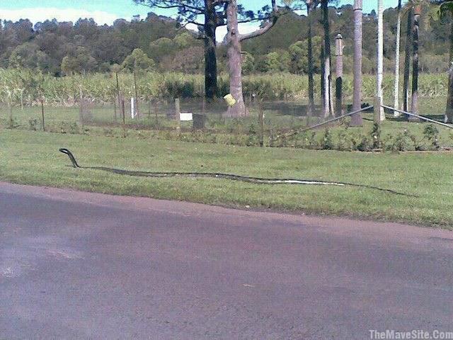 WelcomeToFlorida.jpg