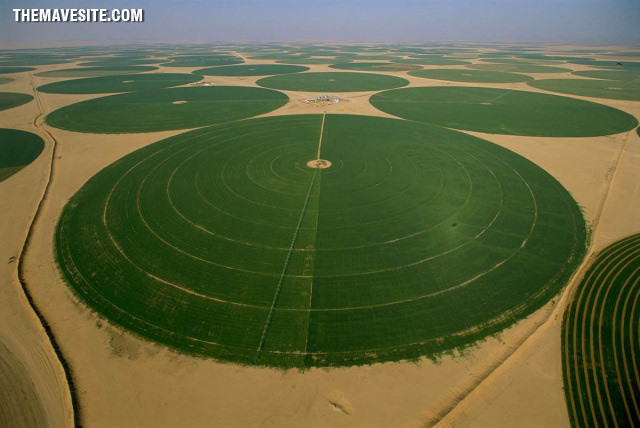 AgricultureInSaudi%20Arabia..jpg