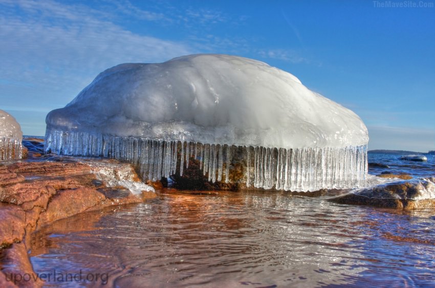 FrozenJellyFish.jpg