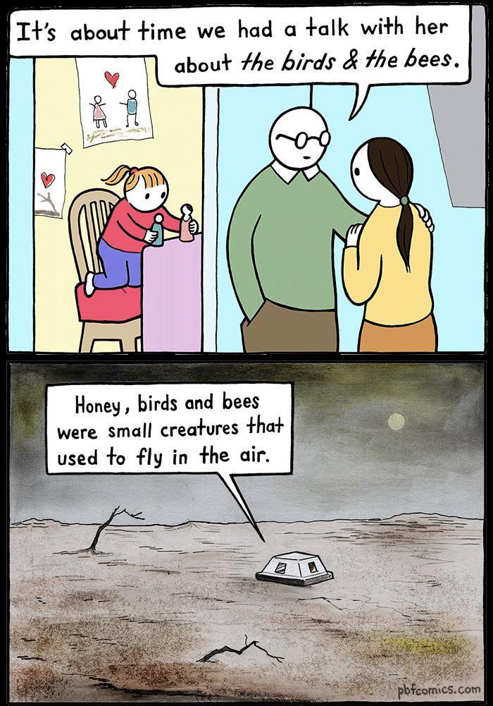 fwhTcO2.jpeg