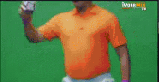 1 (3).gif