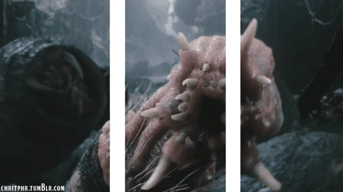 0SXzbX9.gif