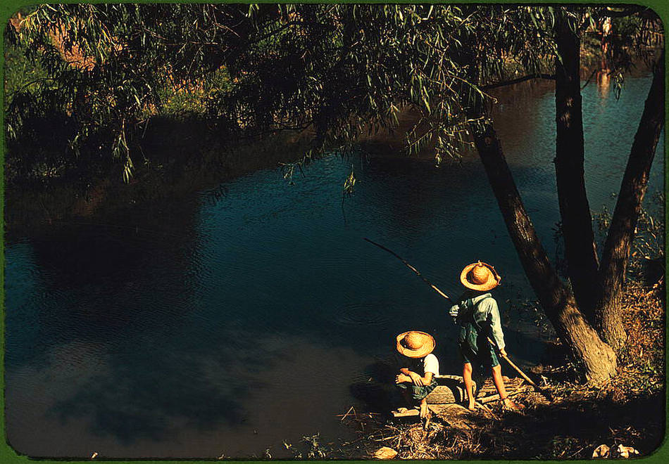 color039.jpg