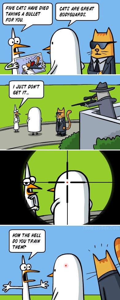 CatsAreGreatBodyguards.jpg