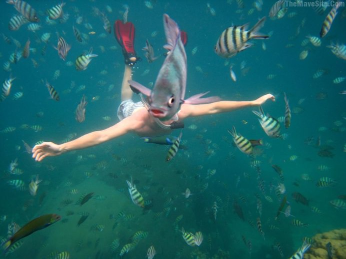 FishPhotobomb.jpg